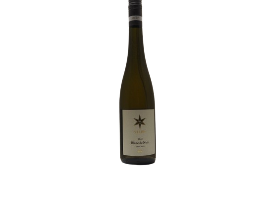 WEINGUT STERN  BLANC DE NOIR